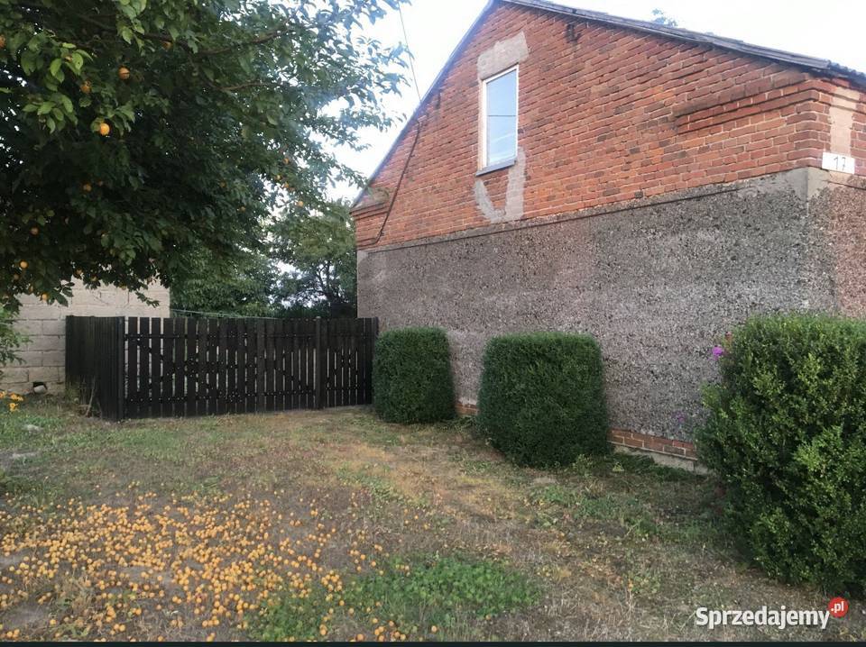 Dom jednorodzinny gmina babiak wies wiecinin 17 wielkopolskie