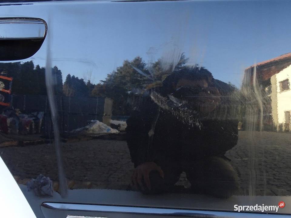 DRZWI PRAWY TYŁ PRAWE TYLNE LZ9Y SEAT EXEO SEDAN