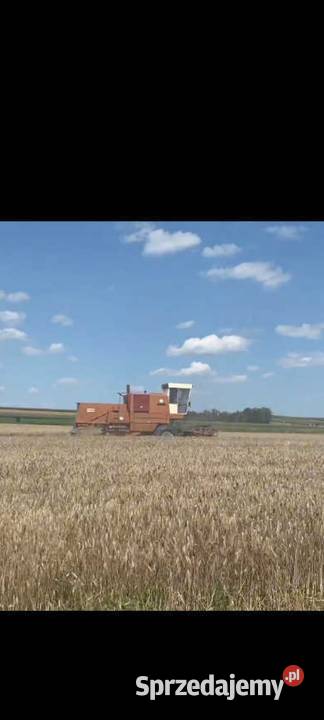 Sprzedam kombajn bizon Bizon Krasnystaw