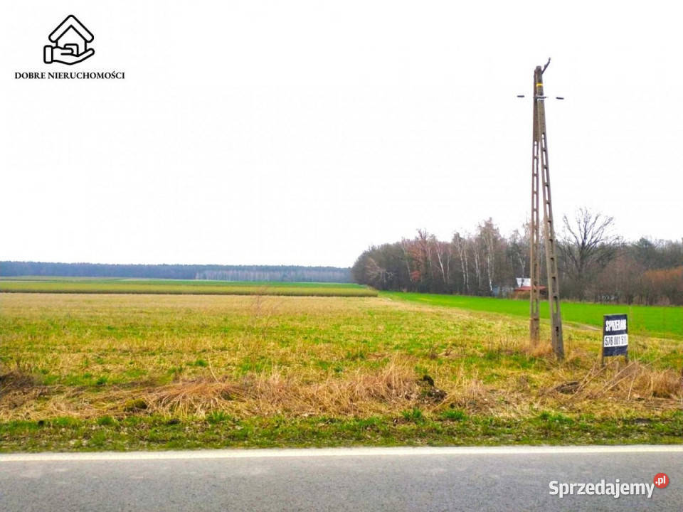 Ogłoszenie działka Zaborze 7683m2 lubelskie sprzedam