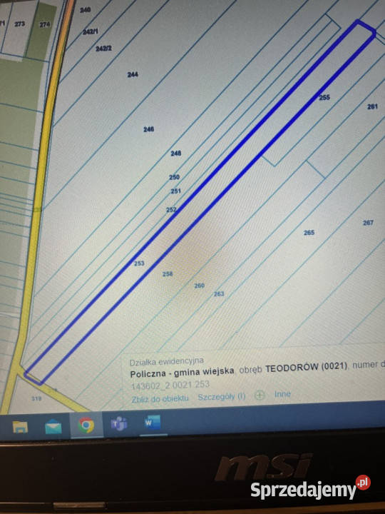 Dwie działki rolne z WZ w Helenowie gm Policzna Helenów