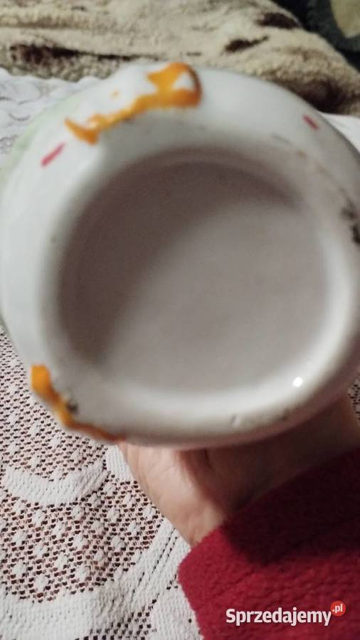 Dekoracyjna kaczka Poznań