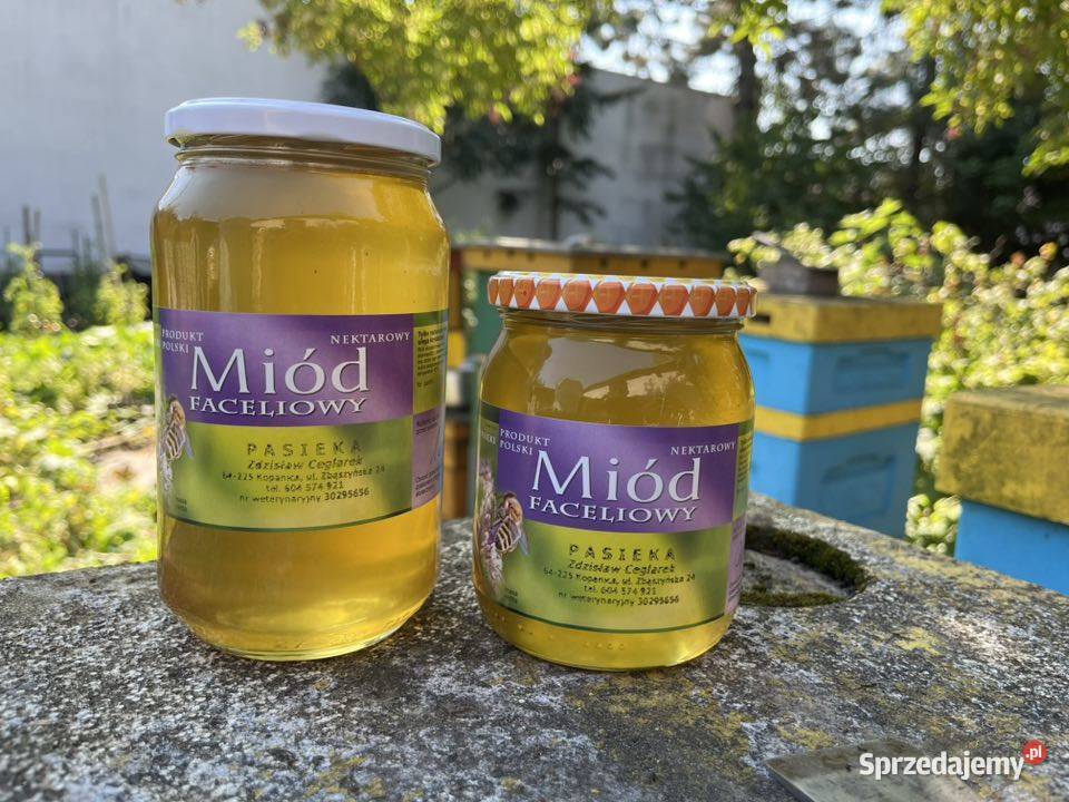 Miód z polskiej pasieki dziadka Siekierki Wielkie