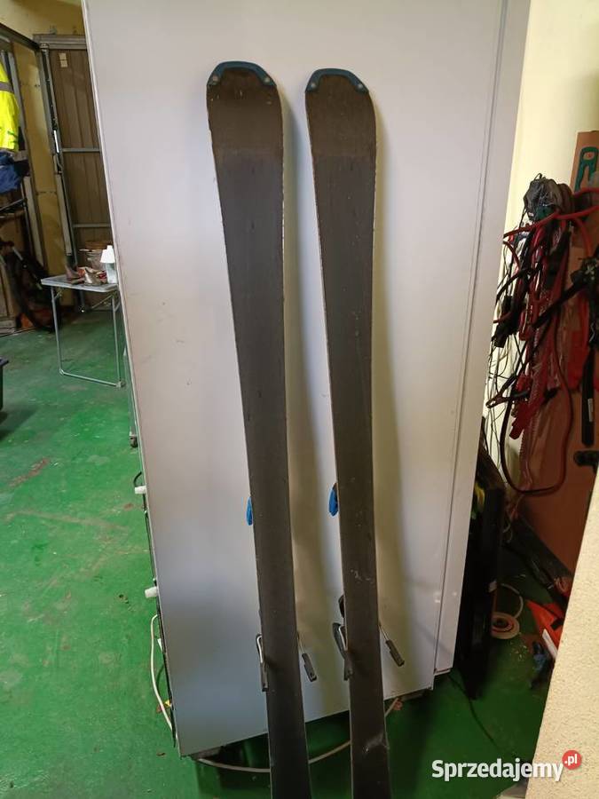 Narty zjazdowe salomon Kotórz Mały sprzedam