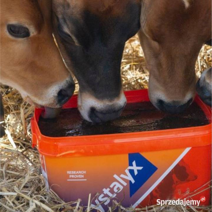 Lizawka Crystalyx Mentholyx 5 cieląt owiec kóz Regulice