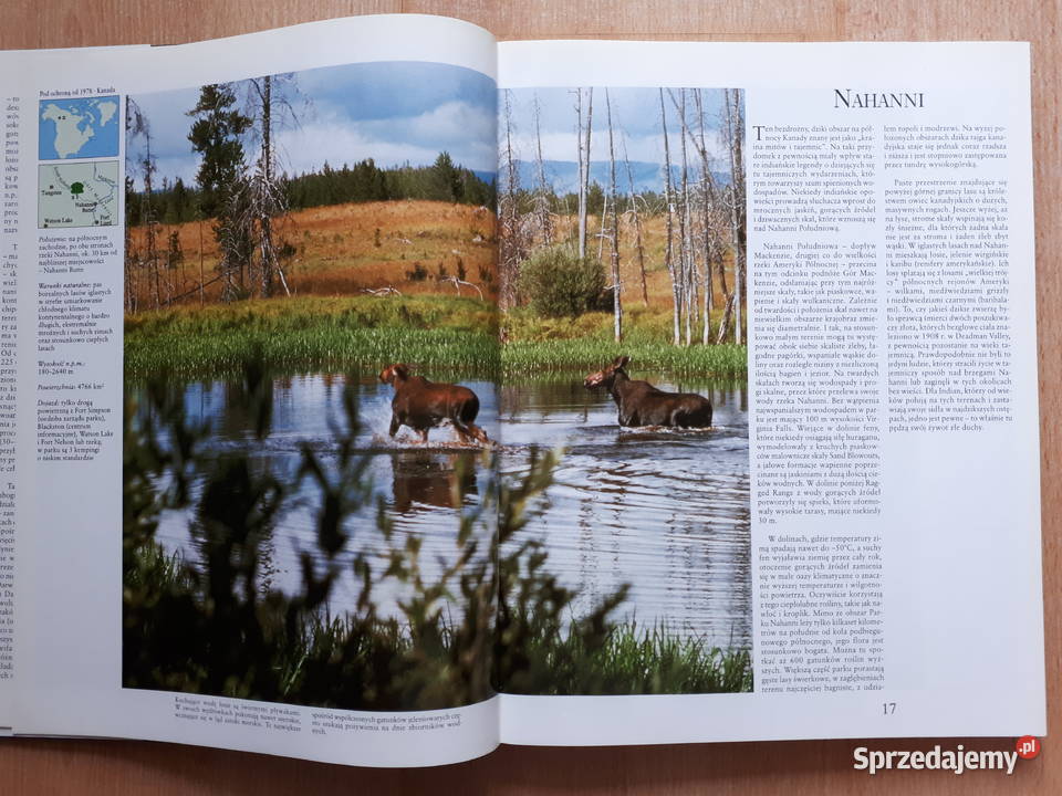 Skarby przyrody śląskie Rybnik
