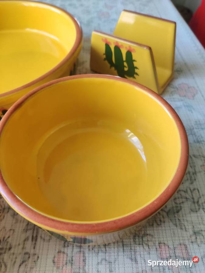 Ceramika wzót kaktusy Myszków