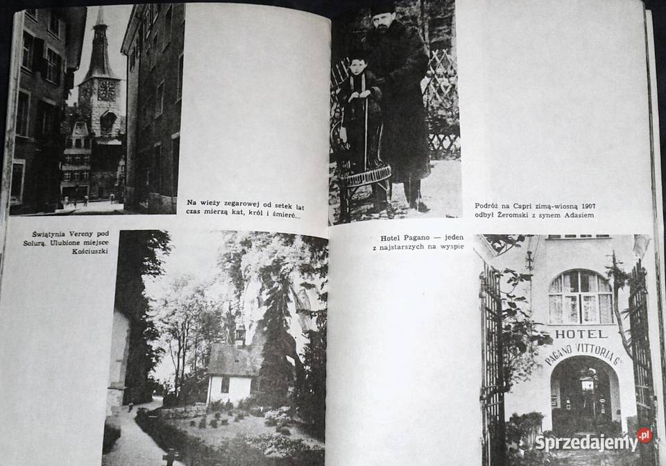 Malwy na lewadach Barbara Wachowicz Chełm