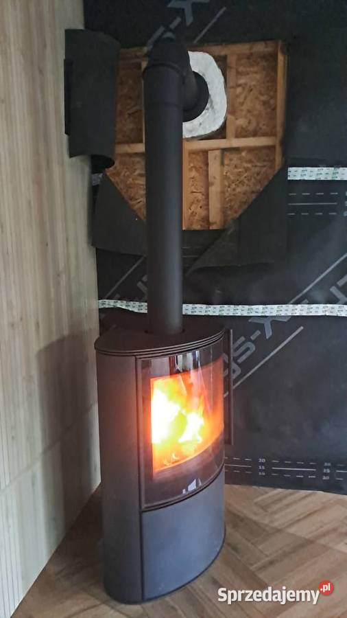 Kominek koza Bjorn PRO Kratki nowy taniej niz u Żary