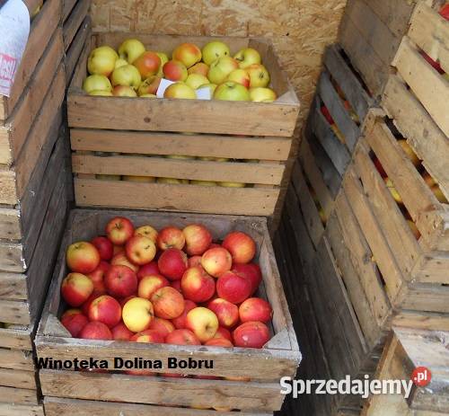 Tłoczenie pasteryzacja soków Pławna Dolna sprzedam