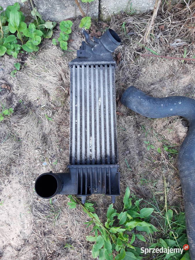 Szyberdach oryginał Citroen C5 2001 r Kostomłoty Drugie