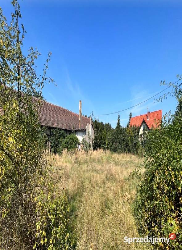 Syndyk sprzeda udział 14 w nieruchomości Karczowiska