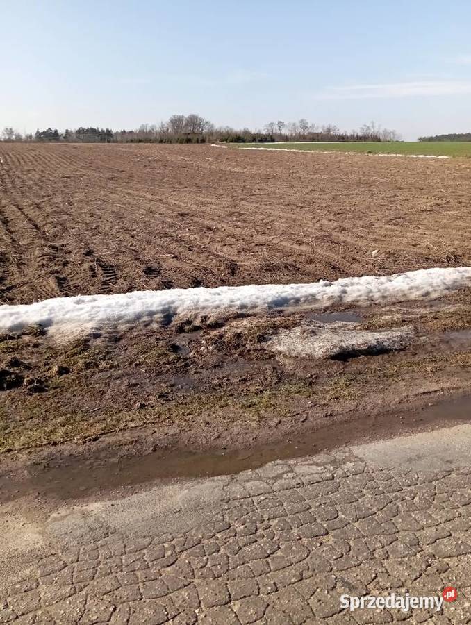 Sprzedam działkę rolną Nowa Wrona