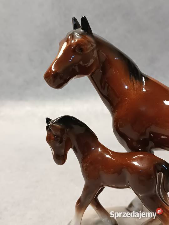 Hertwig Konie Kolekcjonerska Klacz i Źrebię