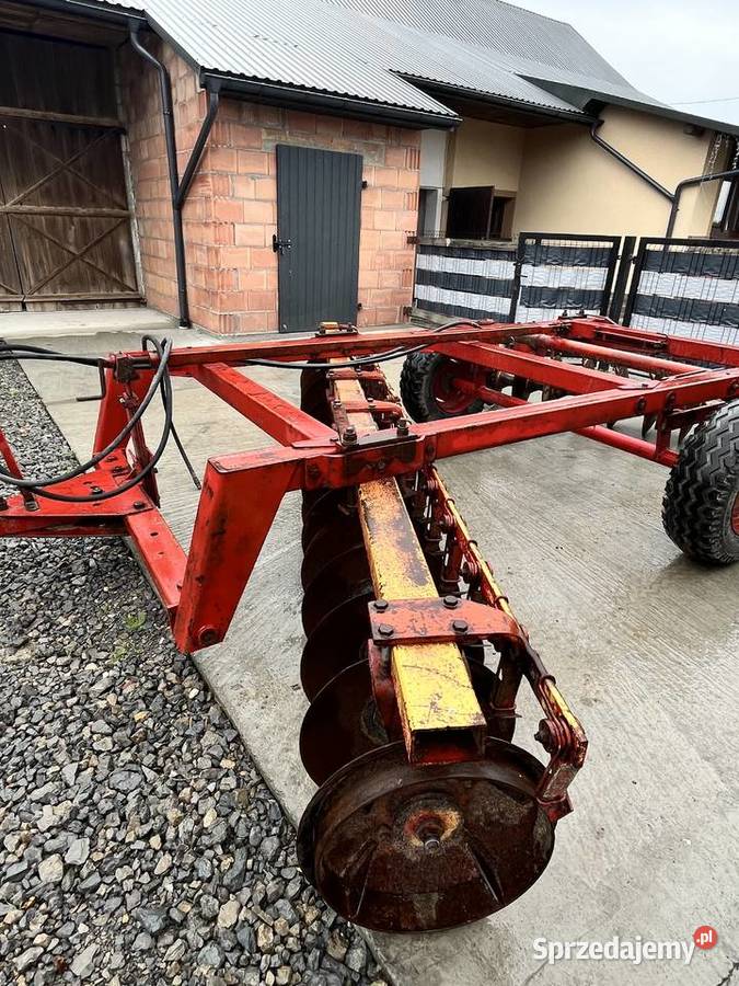 Talerzówka lila harie 16x2 Bukowina