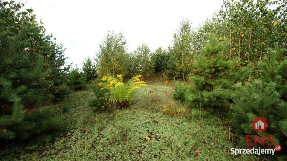 Działka 2806m2 Klimki