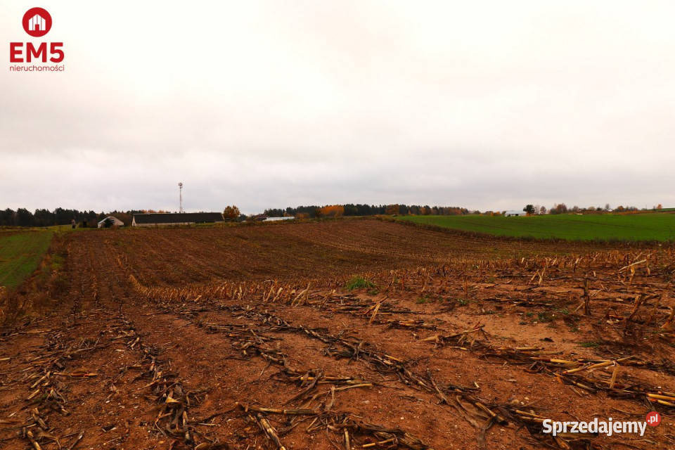 Działka 12000m2 Żegary