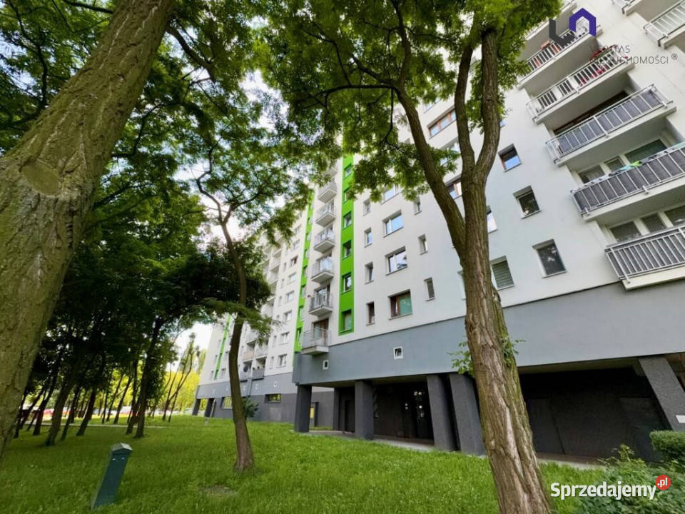 Ogłoszenie mieszkanie Sosnowiec 50m2 2pok