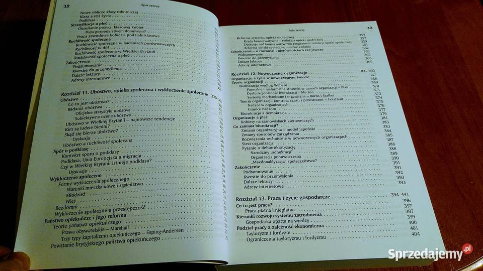 Socjologia Anthony Giddens 2007 pomorskie Gdańsk sprzedam