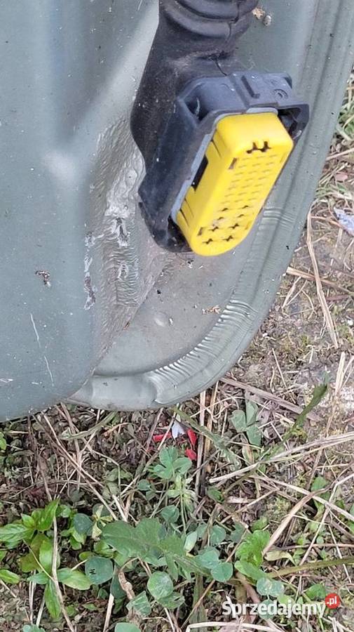 Drzwi Renault Thalia Łagów