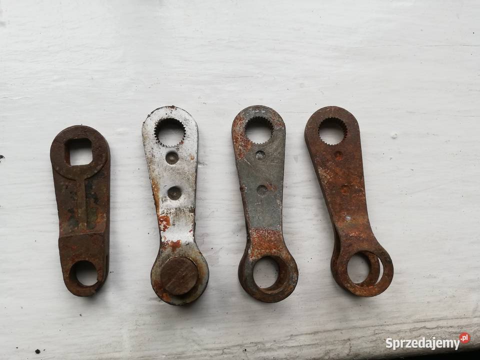 Pannonia cześć Dąbie