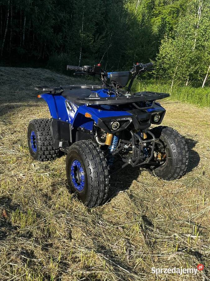 Quad Hunter 125 31 430 przebiegu podkarpackie Jasło