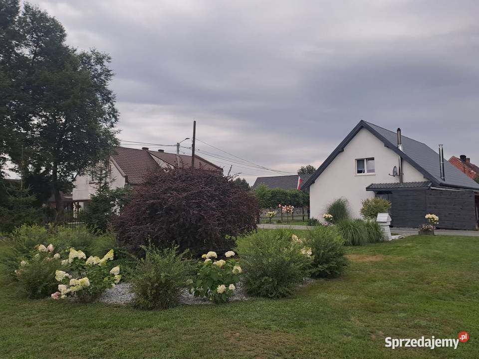 DOM 115m2 remoncie działka 15 arów starobrawski Radomierowice