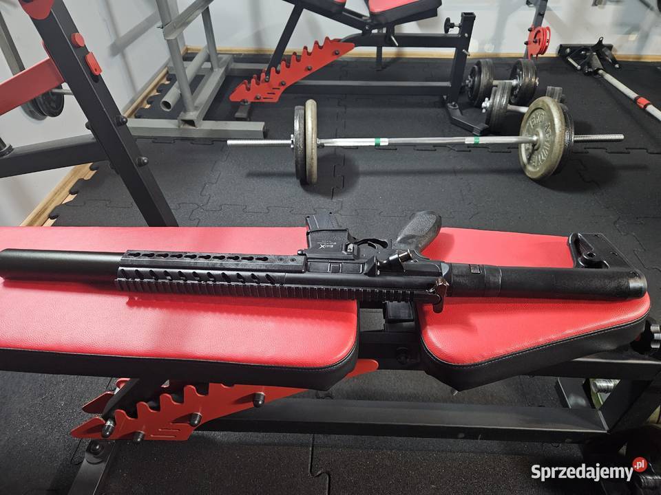 Sig Sauer MCX 45 CO2 Sporty strzeleckie i myślistwo Gostynin