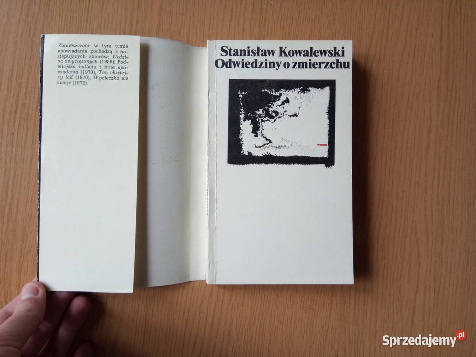 Odwiedziny o zmierzchu 1979r Stanisław Rok wydania 1979 Dąbrowa Górnicza