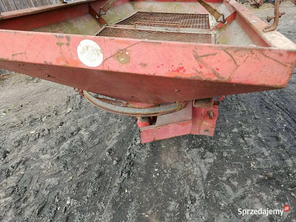 Rozsiewacz wielkopolskie