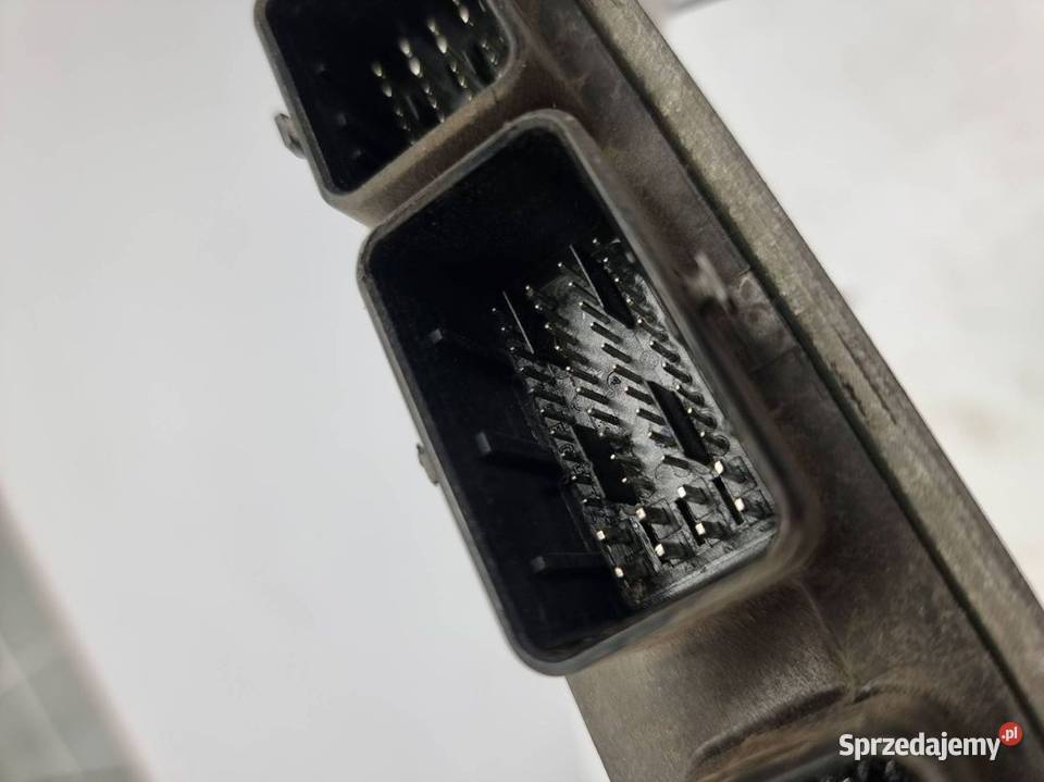 KOMPUTER RENAULT MEGANE SCENIC II 8200334419 Lipno