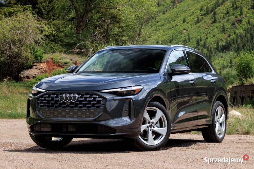 Prywatny kierowca transport klasy premium Audi