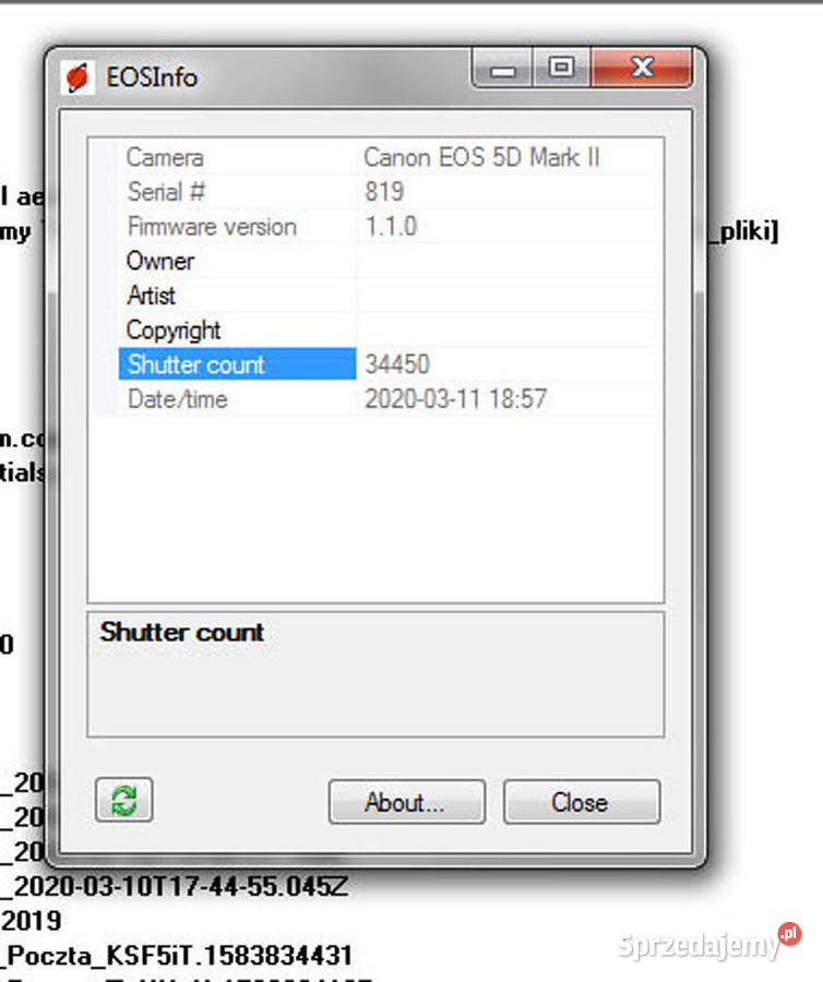 Canon 5D mk II 34 przebiegu Kielce