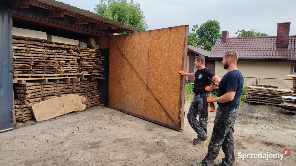 Drewno ozdobne orzech włoski topola wiąz Plastry sprzedam