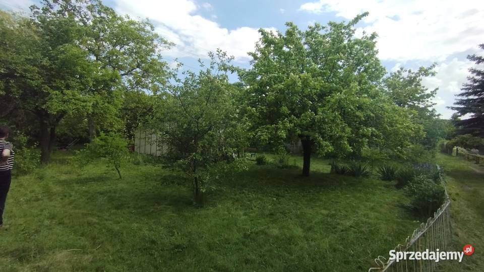 Działka ROD Łódź Dąbrowa