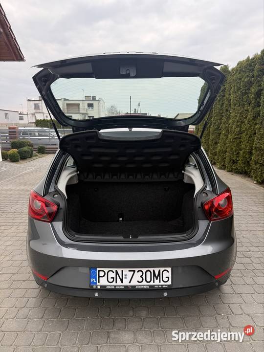 Seat Ibiza Ibiza wielkopolskie Witkowo