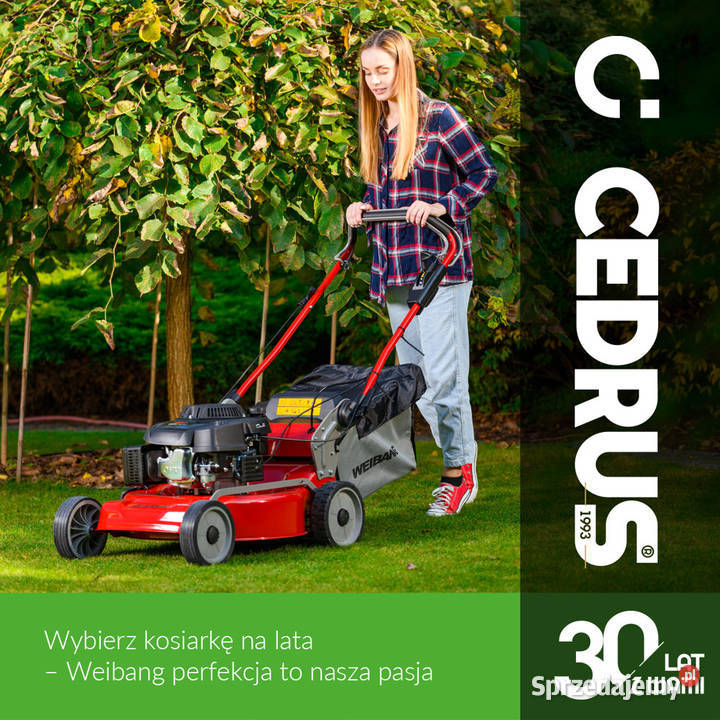 WEIBANG WB456SC VE 3IN1 KOSIARKA SPALINOWA DO