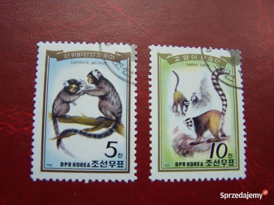 Korea Płn 1985 CTO Zwierzęta Małpy Tychy sprzedam