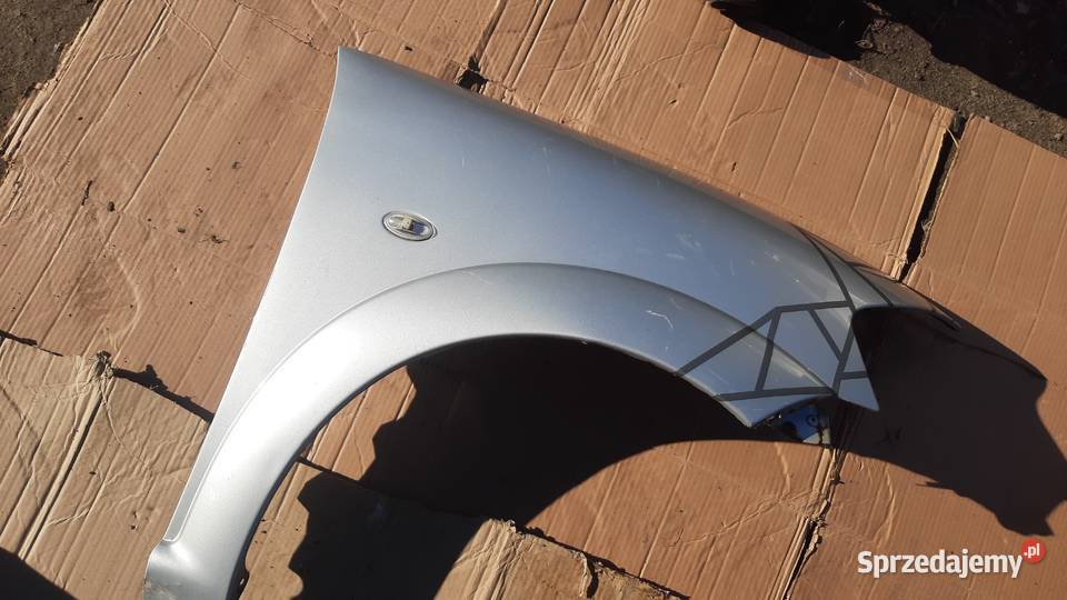 błotnik prawy lewy Citroen C3 I lak EZRC