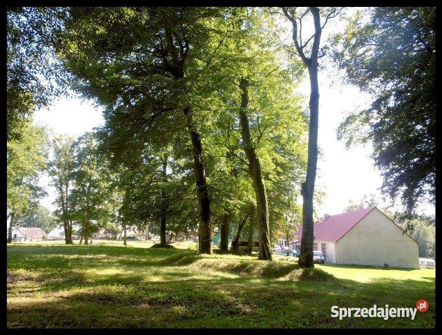Pałac w Januszewie na Mazurach Lokale użytkowe Januszewo