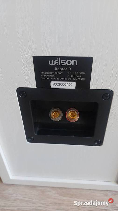 Kolumny podłogowe Wilson Raptor 9