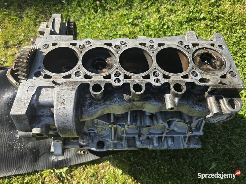Blok Silnika Vw T5 25 TDI BNZ 070 103 021L Skawina sprzedam