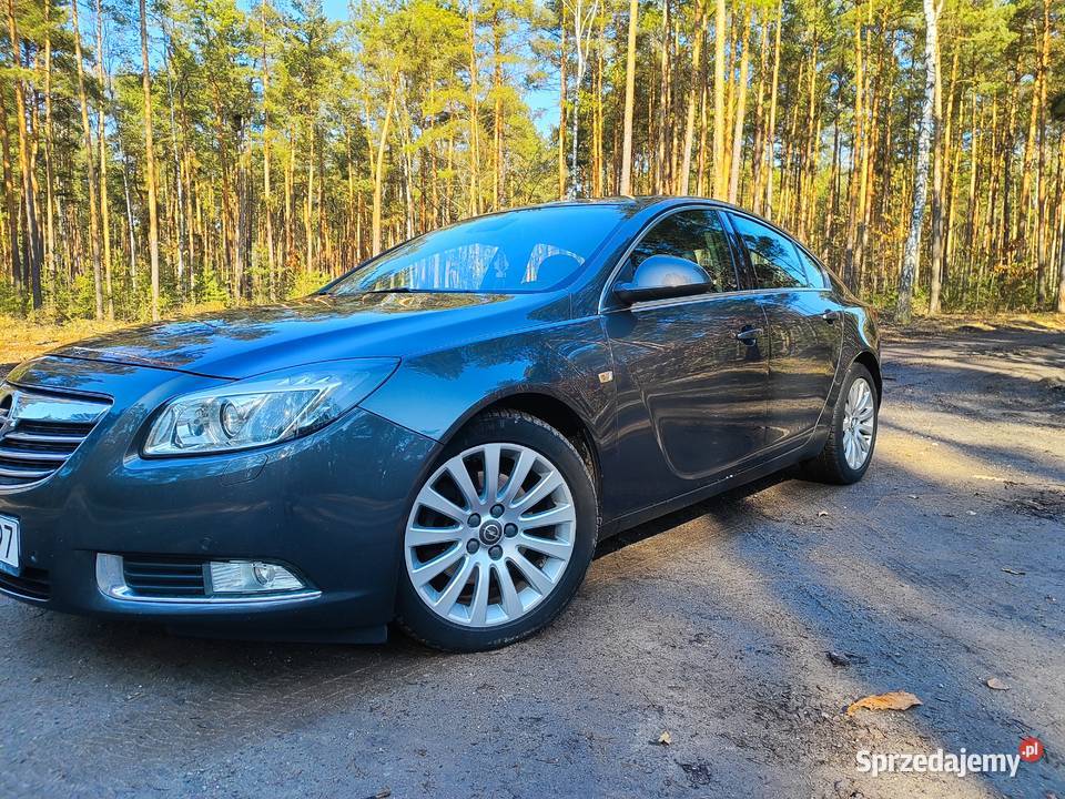 OPEL Insignia A 20 CDTI Sport Brzóza