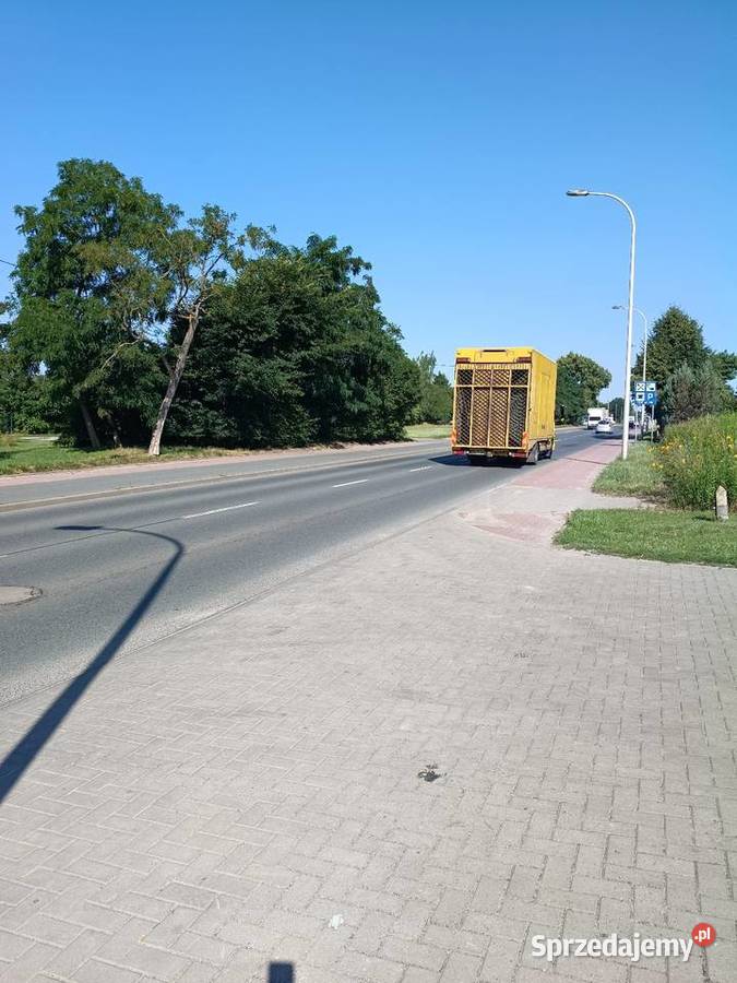 Budynek handlowo uslugowy Płock mazowieckie