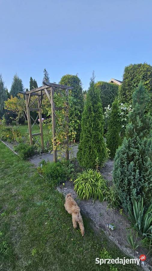 Działka Rekreacyjna RODO 400m2 prądwodadomek rekreacyjna Sprzedaż Zduńska Wola