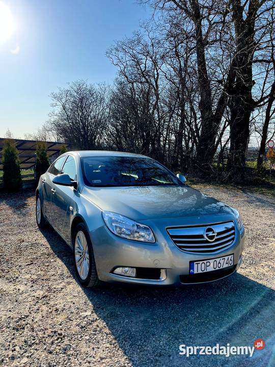 Opel Insignia Niemienice