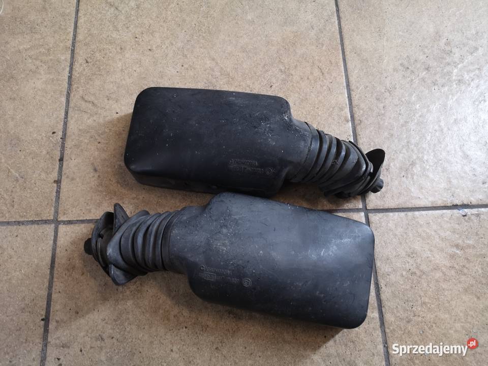 Lusterka Cromodora Polonez Borewicz Akwarium osobowe