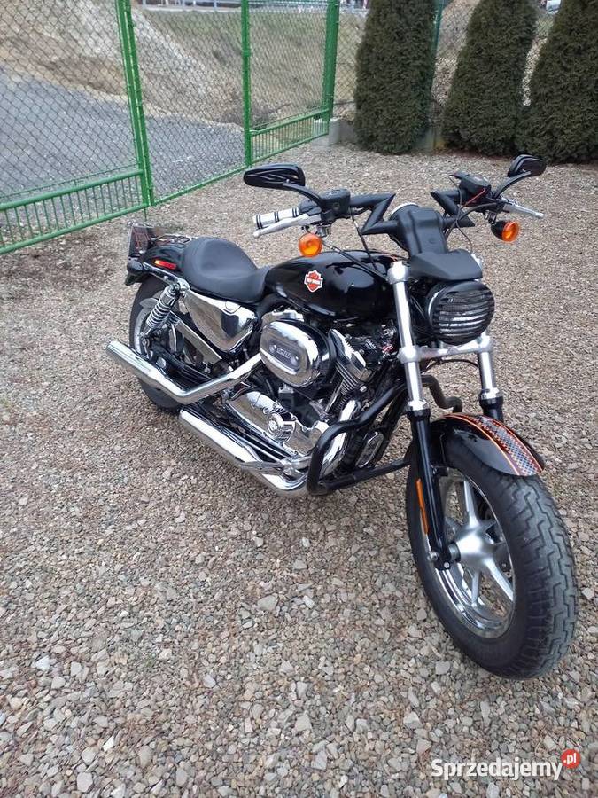 Harley davidson sportster castom 1200 Tyczyn sprzedam