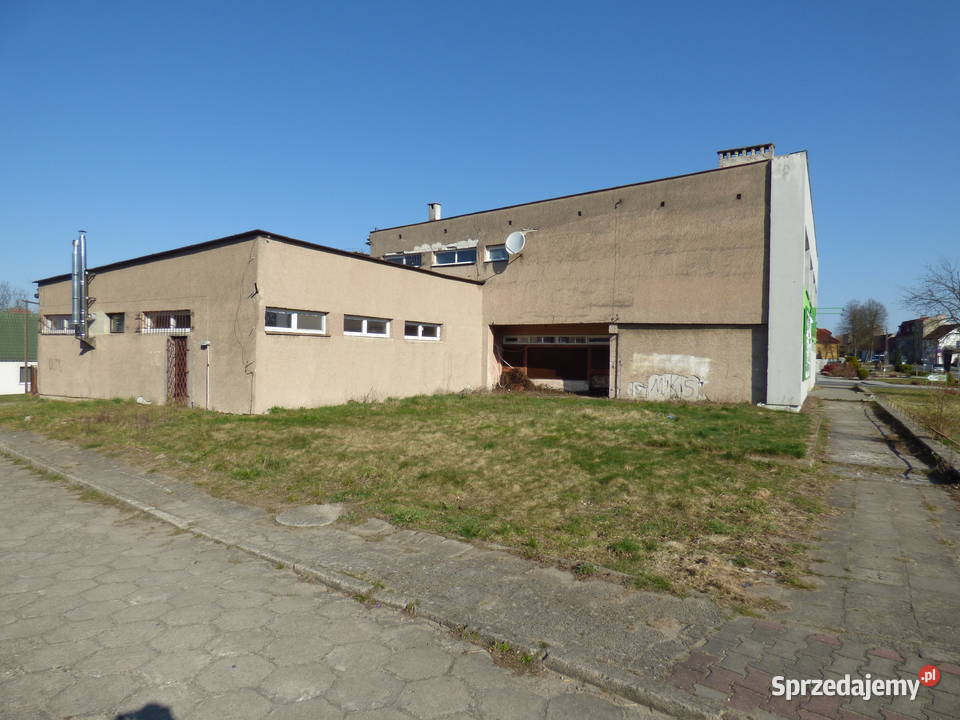 Lokal usługowy Syndyka Dobrzany Staszica 1708zł/m2