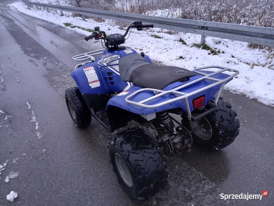 Quad Polaris Trail Boss 330 Rok produkcji 2004 Polaris Pilica